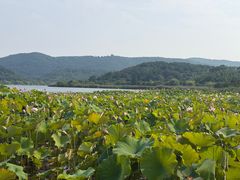 -南北湖风景区