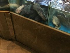 水产区-鑫巴蜀(和平里店)