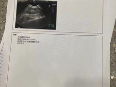 -爱侣宠医·鹦鹉专科·小型哺乳类·异宠专科(灵石路店)