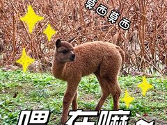 -嘉北郊野公园