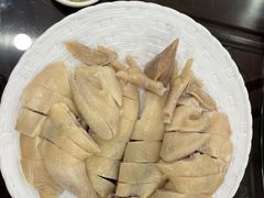 白切鸡-万年酒楼(越秀南路店)