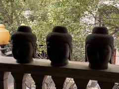 -子福慧(虹桥店)