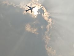 -上海鲜花港
