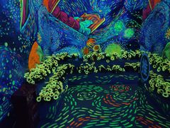 -梵高星空艺术馆(北京旗舰店)