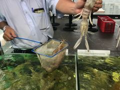 -国际金钻海鲜餐厅