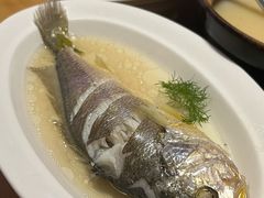 清蒸舟山野生黄鱼鲜-香浙汇(望京店)