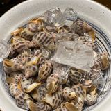 周一打边炉🍲[亲亲]