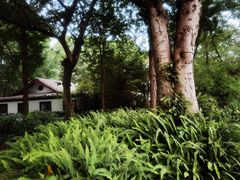 -成都市文化公园