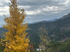 -南岳衡山风景名胜区