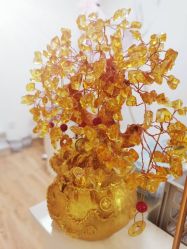 -美肤盾祛痘·问题肌头疗管理中心