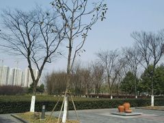 -白塘生态植物园