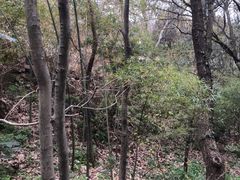 -穹窿山景区