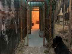 -北京动物园-畅观楼