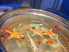 -千岛蚝高压锅生蚝·人参火锅(白云万达店)