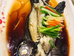 清蒸老虎斑-万宝海鲜舫(劳动公园店)