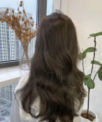 -木北造型