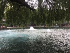-百脉泉景区
