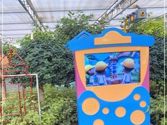 -南宫五洲植物乐园