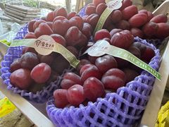 -马陆小张葡萄园农家乐