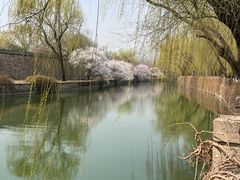 -颐和园