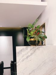 -Garden花園造型