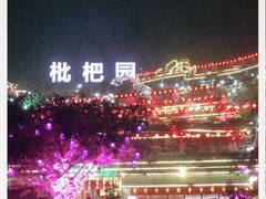 -枇杷园食为鲜火锅(南山店)