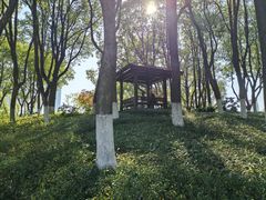 -昆山城市公园