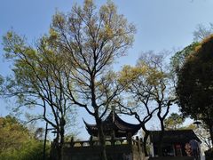 -苏州上方山国家森林公园