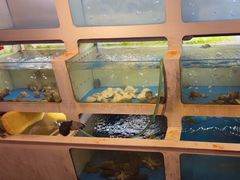 -质烤烤物·活烤海鲜(质烤总店)