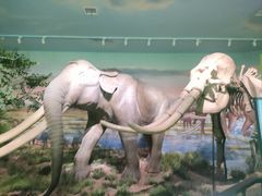 -湖南省地质博物馆