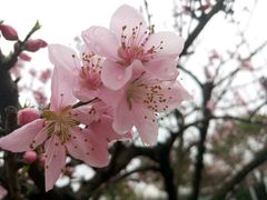 -江南大学(蠡湖校区)
