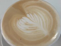 -喵的天空名猫咖啡馆·撸猫·猫舍·用品