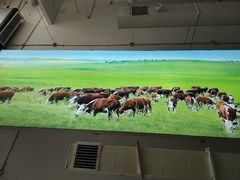 -肥之牛健康火锅(水域蓝湾店)