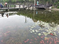 -前关湿地公园