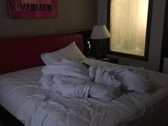 -北京奥北宝迪酒店