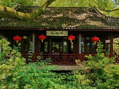 -上海醉白池公园