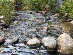 -碓臼峪自然风景区