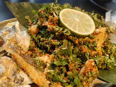 -Ameigo梅果·云贵川bistro(长宁来福士店)