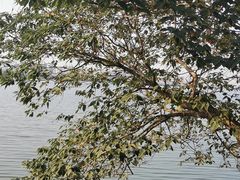 -艾溪湖湿地公园