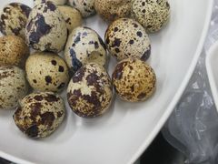 -潘苏凉茶馆(康之宝超级广场店)