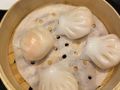 虾饺王-高第街56号港式餐厅·精选(世茂广场宽厚里大明湖店)