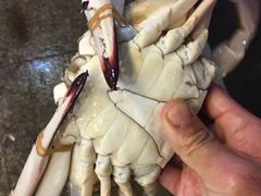 -海尚韵舍海景餐厅(朱家尖店)