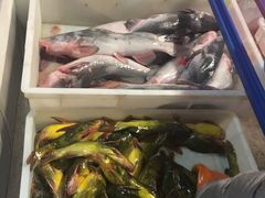 -王老六铁锅炖鱼(长春路店)