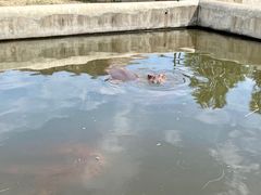 -哈尔滨北方森林动物园