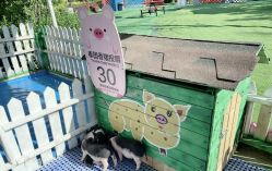 -萌宠亲子动物乐园(槐房万达店)