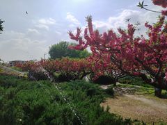 -元大都城垣遗址公园