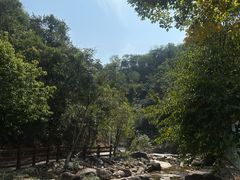 -广州白江湖森林公园