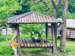 -上海野生动物园