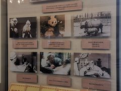 -北京动物园-畅观楼