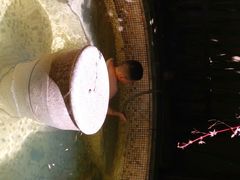 -春晖园度假酒店温泉